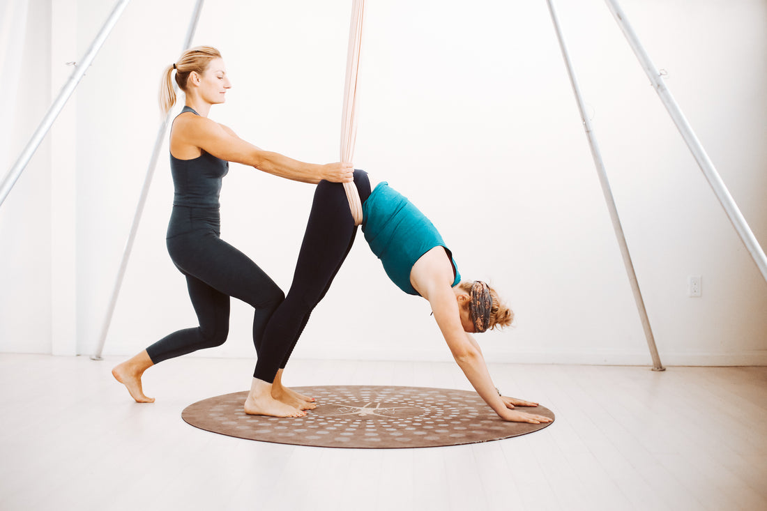 AIReal Assist - Spotting and Assisting Training